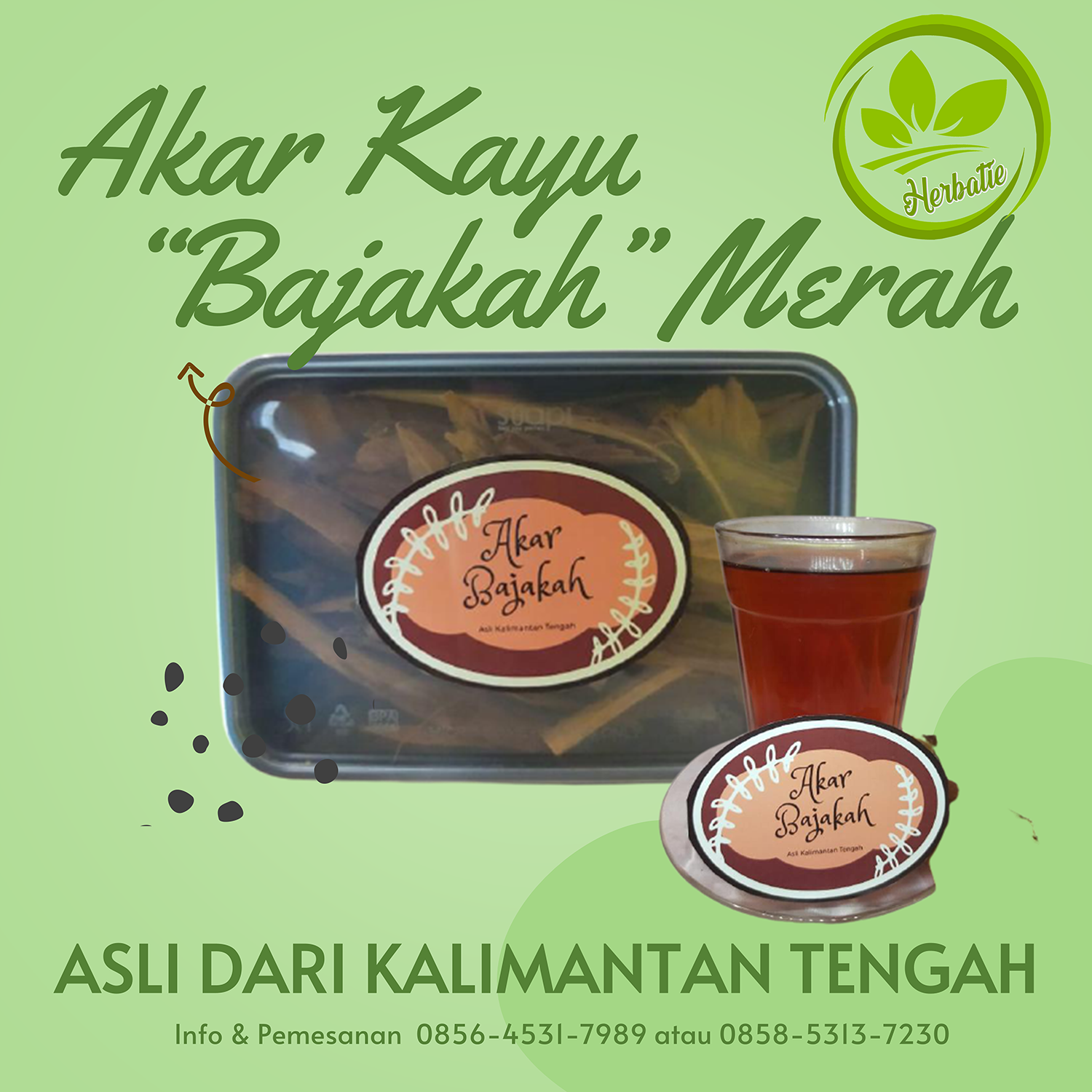 Akar Kayu Bajakah Khasiatnya